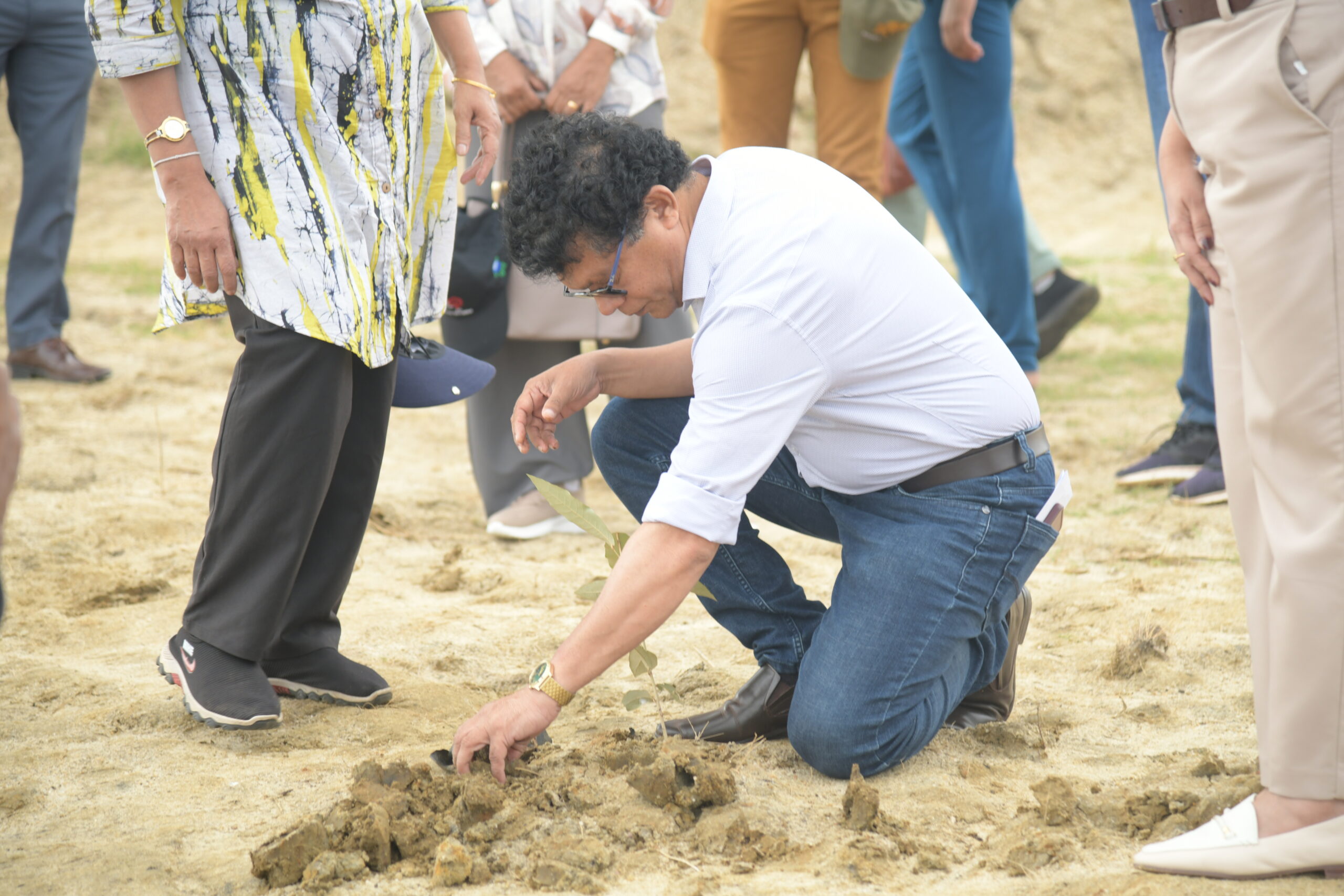 කඩොලානට  දලුලන්න ඉඩදෙන්න