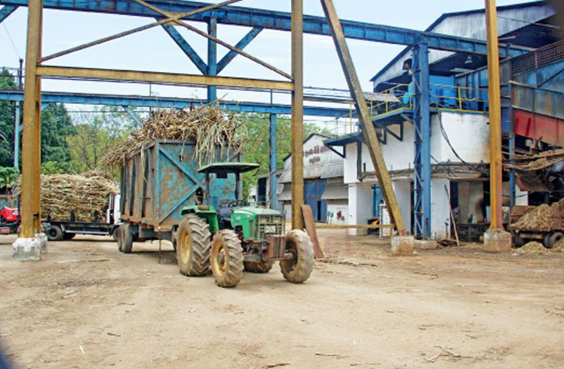 සෙවනගල උක් ගොවීන් සීනි සමාගම සමඟ පැටලෙයි